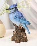 Pretty Blue Jay Perching on Tree Stump With Motion Activated Bird Sound Figurine