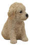 Ebros Realistic Adorable Sitting Golden Labradoodle Puppy Statue 6.5" H