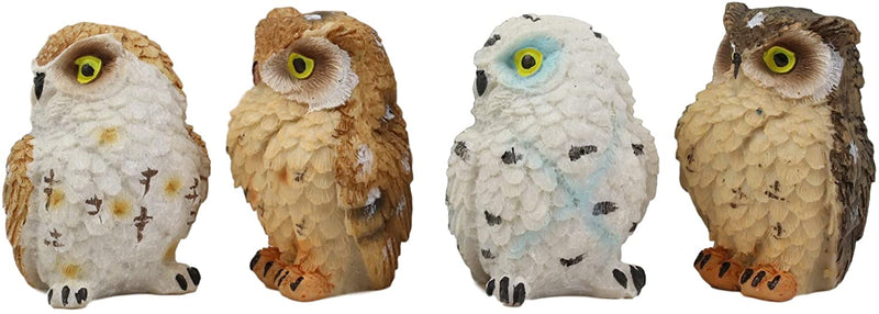 Ebros Peeking Colorful Nocturnal Fat Owls Miniature Figurine Set of 4 Whimsical