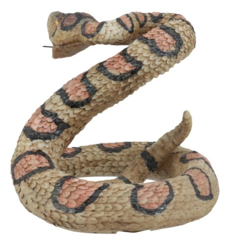 Lifelike Diamondback Rattlesnake Statue 6"H Realistic Snake Taxidermy Figurine