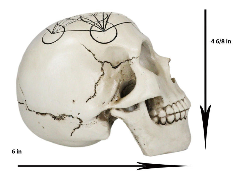 Sacred Geometry Metatron Cube Earth And Heaven Cosmic Energy Skull Figurine
