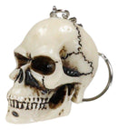 Pack of 12 Novelty Bone Colored Jointed Homosapien Cranium Skulls Keychains