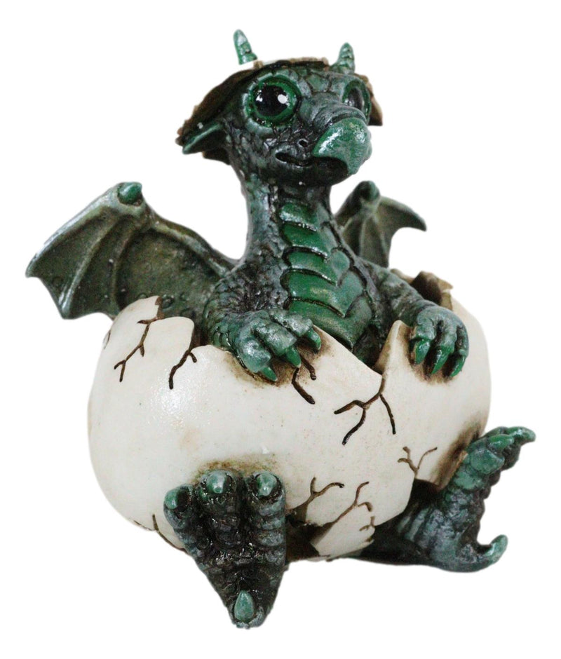 Small Green Whimsical Dragon Baby Hatchling In Egg Statue Fantasy Dragon Egg