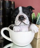 Ebros Realistic Boston Terrier Teacup Statue Pet Pal Tuxedo Gentleman Dog Figurine