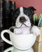 Ebros Realistic Boston Terrier Teacup Statue Pet Pal Tuxedo Gentleman Dog Figurine