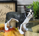 Realistic Miniature Boston Terrier Puppy Dog With Faint Red Face Figurine