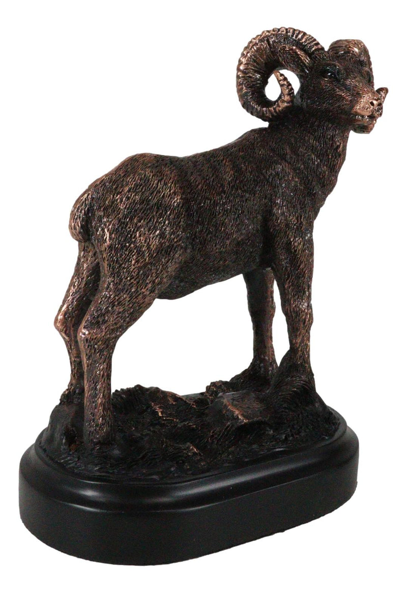 Wildlife Animal Taxidermy Bighorn Sheep Ram On Grassland Figurine With Base