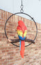 Ebros Hanging Scarlet Macaw Parrot Perching on Branch in Metal Round Ring Figurine 13.5" H
