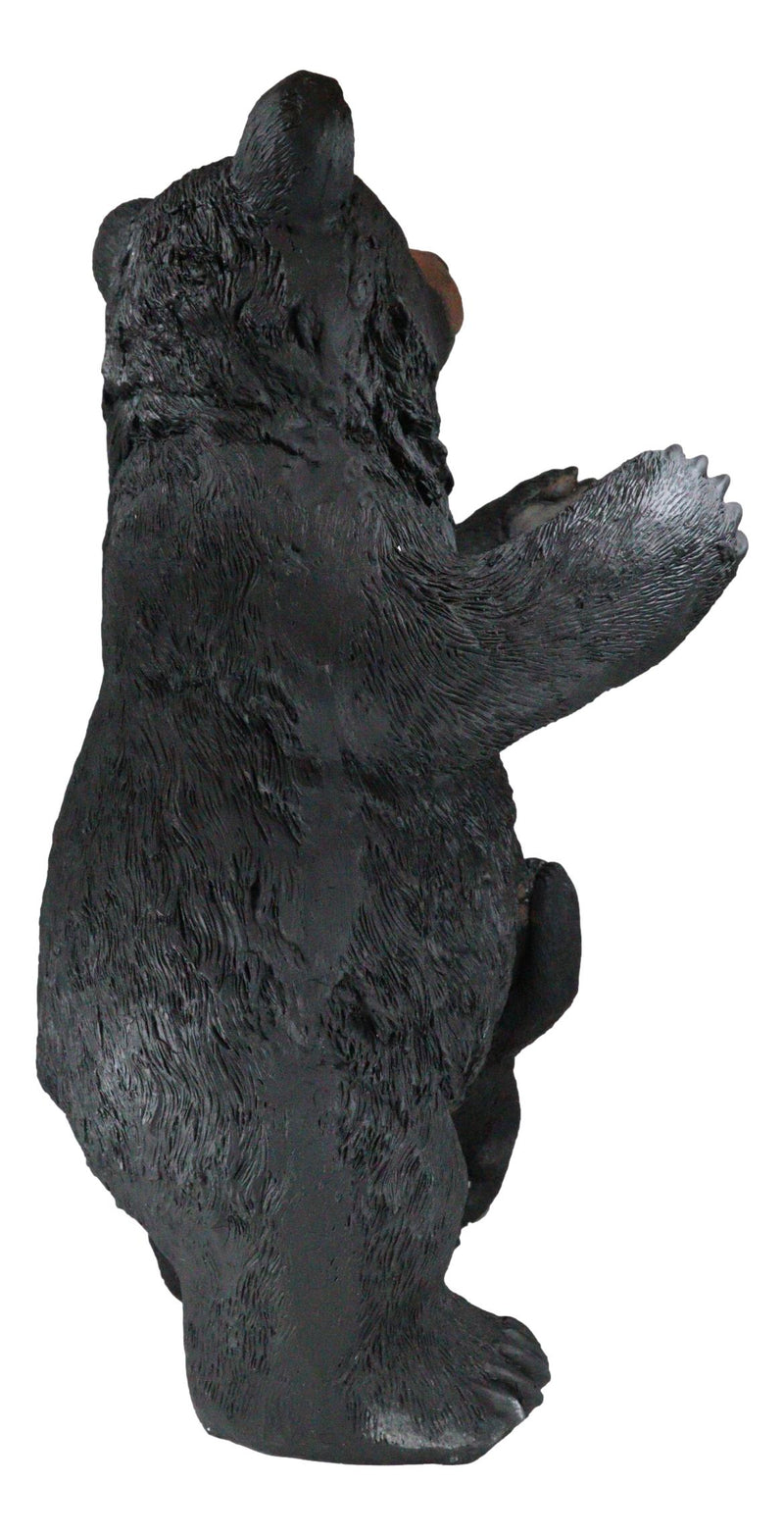 Western Black Mother Bear With Cub Toilet Paper Holder Floor Standing Figurine