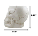 Ceramic Spooky Jointed Homosapien Human Skull Cereal Treat Soup Bowl 32oz
