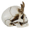 Small Goat Horned Demon Skull Statue Hell Spawn Skeleton Inferno Imp Figurine
