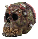 Ebros Day Of The Dead Zombie Vampire Frankenstein Skull With Open Brains Figurine 6"L