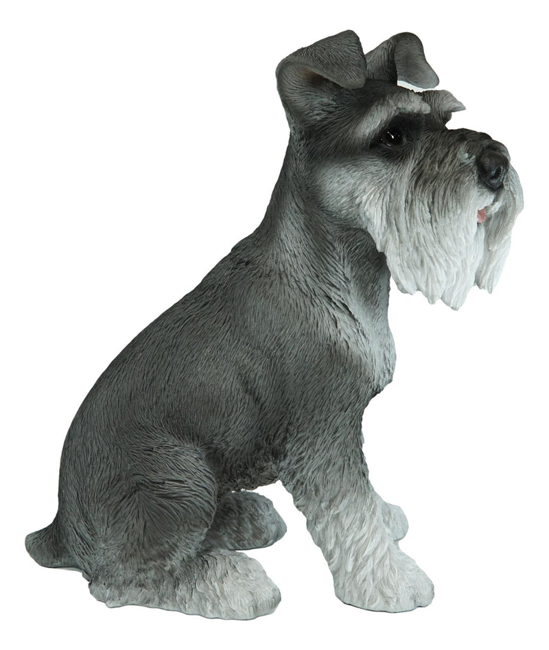 Ebros Large Sitting Realistic Schnauzer Puppy Dog Statue 13"H Pet Pal Pedigree Breed