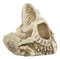 Paranormal Ouija Spirit Medium Cat Skull Ashtray Figurine Supernatural Occultist