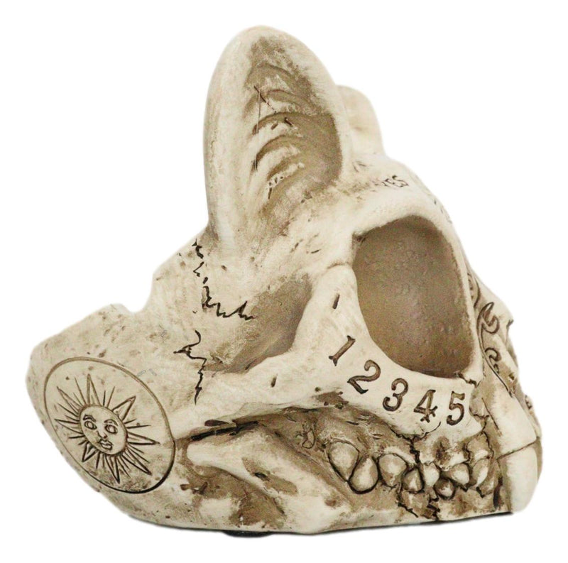 Paranormal Ouija Spirit Medium Cat Skull Ashtray Figurine Supernatural Occultist