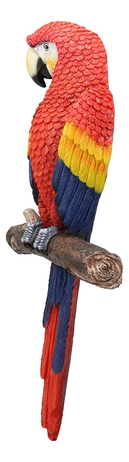Ebros Colorful Tropical Rainforest Paradise Rio Red Scarlet Macaw Parrot Perching On Branch Wall Hanging Decor Figurine 3D Plaque Sculpture Nature Lovers Birds Collectors Decor 14" Tall