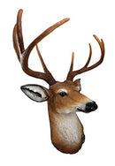 Ebros 8 Point Buck Deer Bust Champion Wall Mount Sculpture Plaque Figurine 21"H