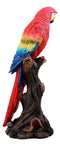 Ebros Tropical Rainforest Paradise Bird Scarlet Macaw Parrot Perching On Branch Statue