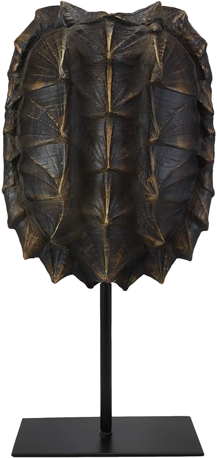 Ebros Large Nautical Reptile Alligator Snapping Turtle Shell Sculpture On Museum Stand