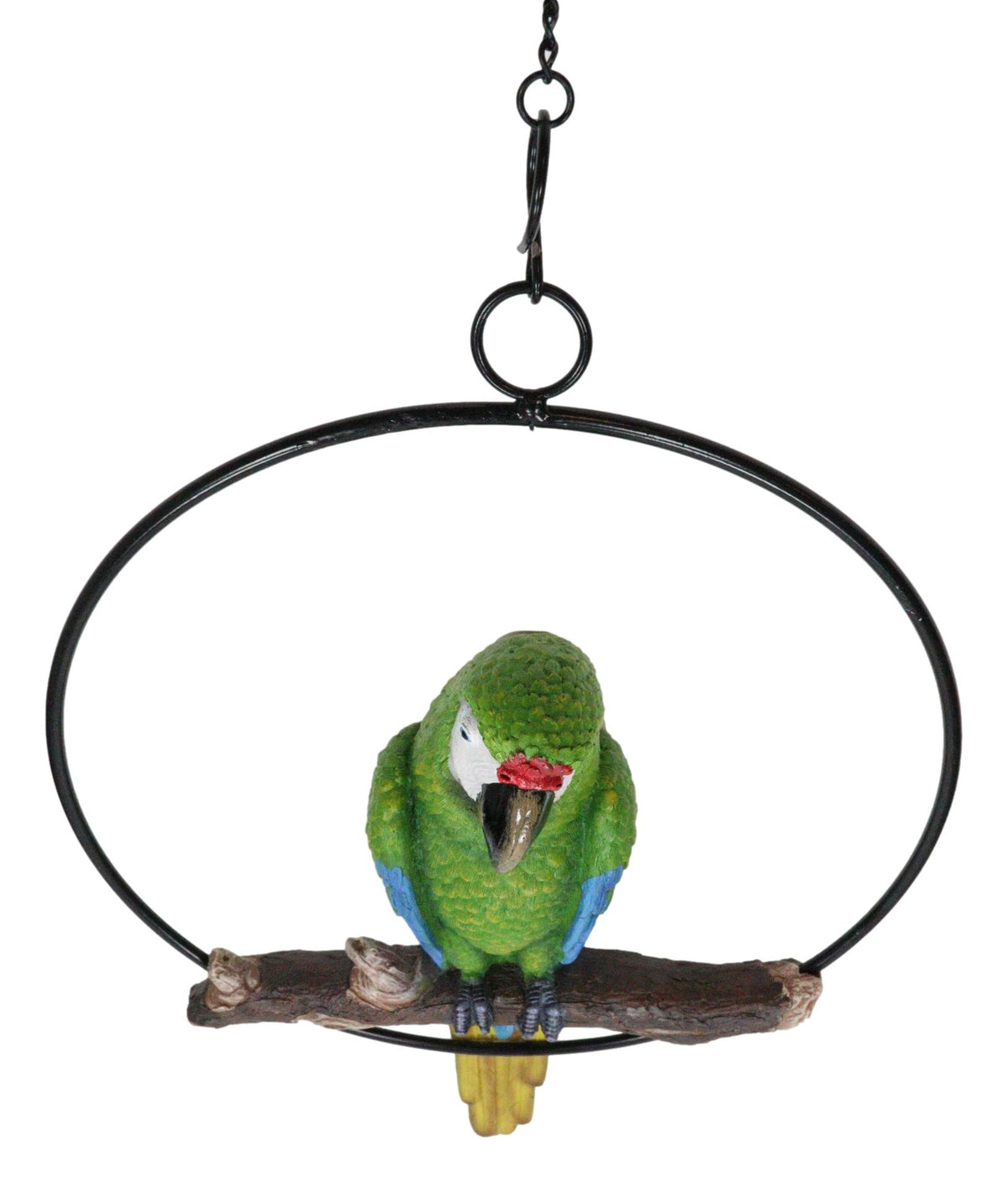 Hanging Military Macaw Parrot Perching on Branch in Metal Round Ring 13.5"H