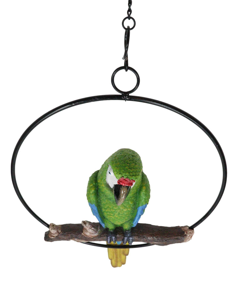 Hanging Military Macaw Parrot Perching on Branch in Metal Round Ring 13.5"H