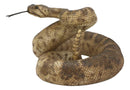 Ebros Realistic Diamondback Rattlesnake Hand Painted Taxidermy Statue 8.25"Long