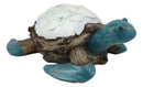 Nautical Sea Turtle With White Clam Shells In Faux Distressed Wood Finish Statue