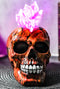 Ebros Colorful LED Light Mohawk Crystal Hair Inferno Red Devil Skull Figurine