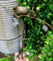 Romantic Lovebirds By Nest On Branch Twigs Aluminum Garden Stake Bird Feeder