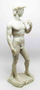 Ebros Renaissance Michelangelo Sculpture of Nude David Figurine Battle With Goliath