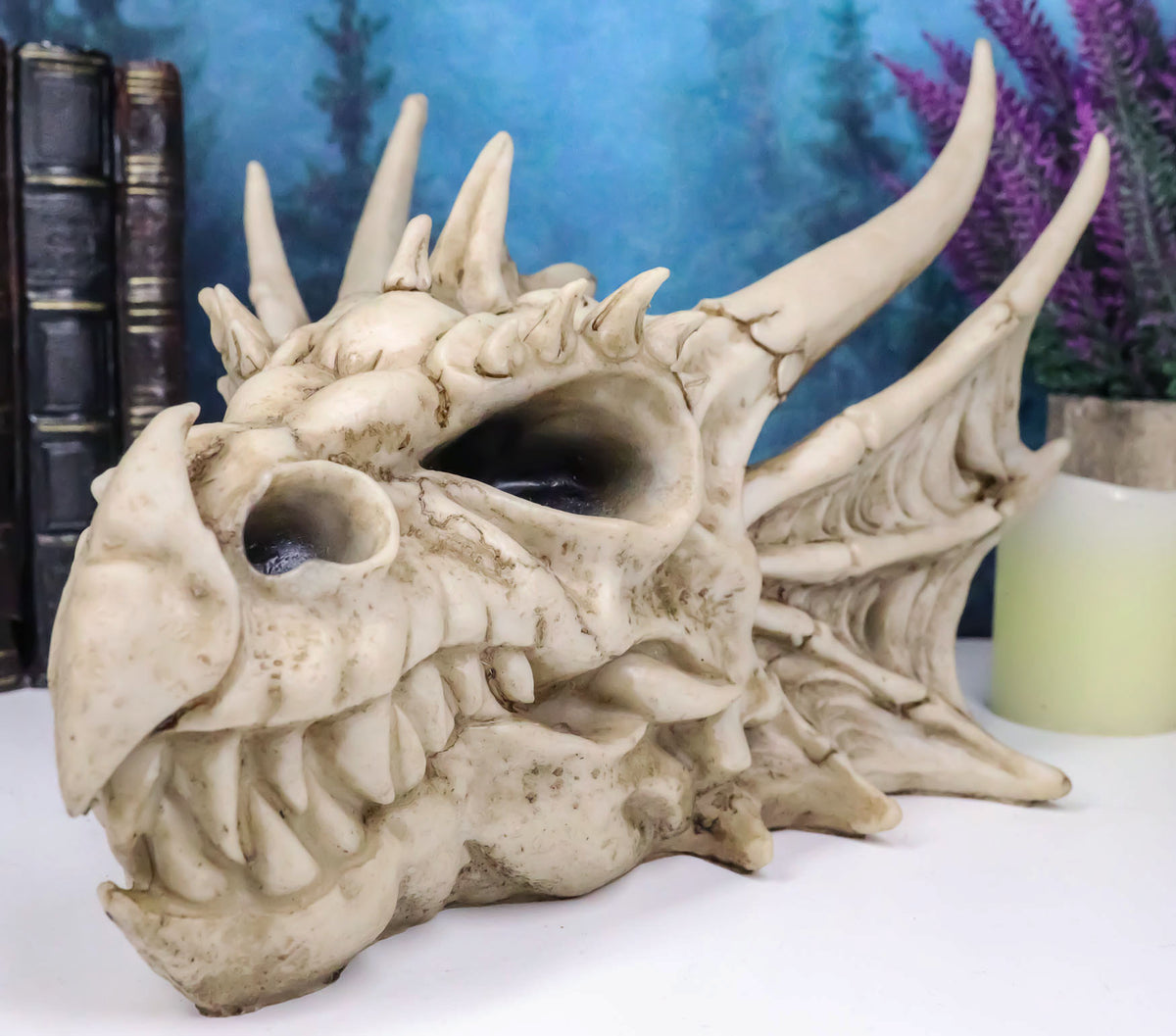 Ebros Elder Jurassic Dragon Head Skull Realistic Fossil Statue 9" Long Figurine - Ebros Gift