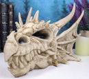 Ebros Elder Jurassic Dragon Head Skull Realistic Fossil Statue 9" Long Figurine