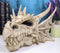 Ebros Elder Jurassic Dragon Head Skull Realistic Fossil Statue 9" Long Figurine