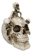 Grinning Jointed Cranium Skull With Triple Threat Skeletons Ossuary Figurine