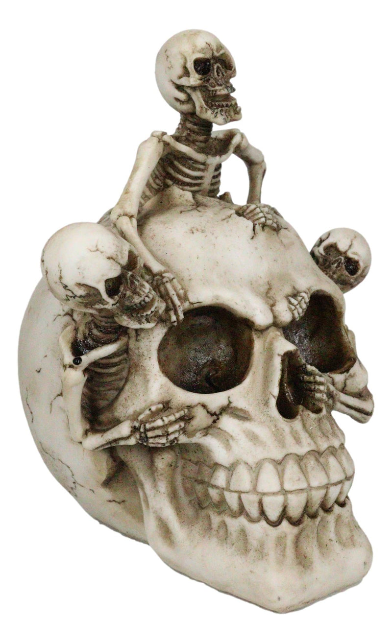 Grinning Jointed Cranium Skull With Triple Threat Skeletons Ossuary Figurine