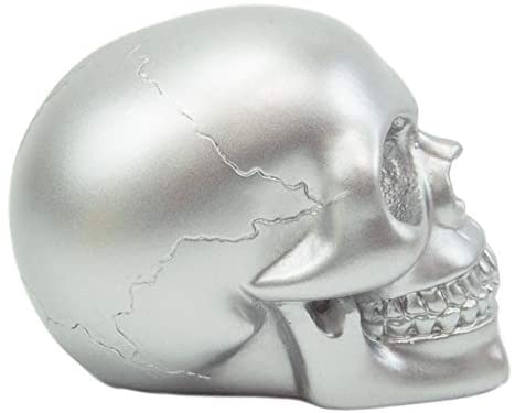 Ebros Pirate's Loot Graveyard Human Skull Figurine 3.75"L (Metallic Silver)