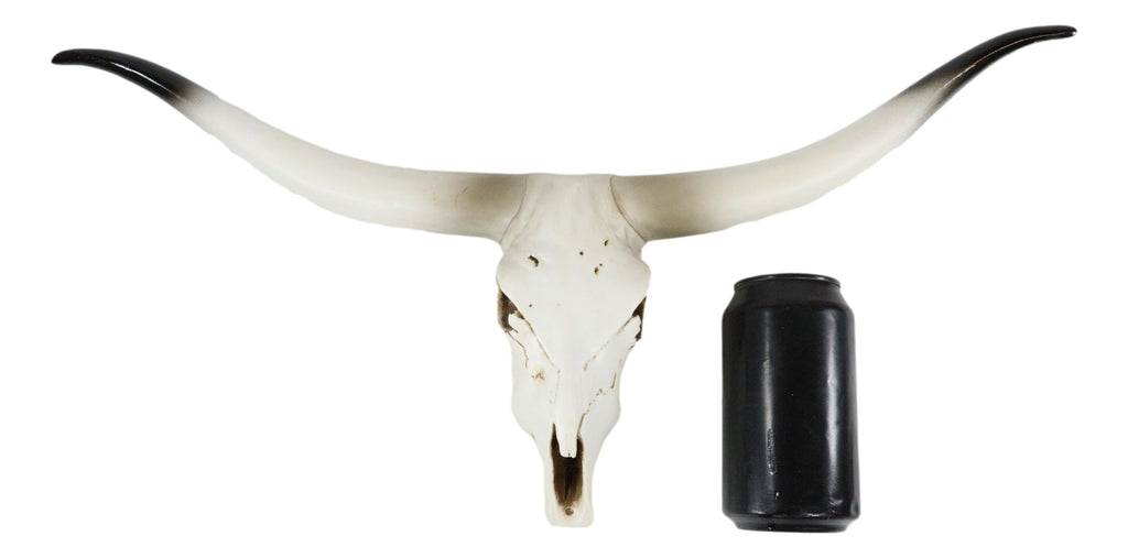 20" L Rustic Western Texas Longhorn Steer Cow Skull Resin Wall Decor P ...