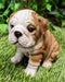 Ebros Realistic Lifelike Bulldog Puppy Statue 6" Tall British Bulldog Figurine