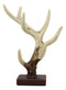 Ebros Rustic Buck Deer Antler Jewelry Accessories Holder Hook Stand 10.25"H
