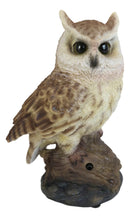 Eagle Owl Owlet Baby On Tree Stump With Motion Sensor Live Hooting Sound Statue