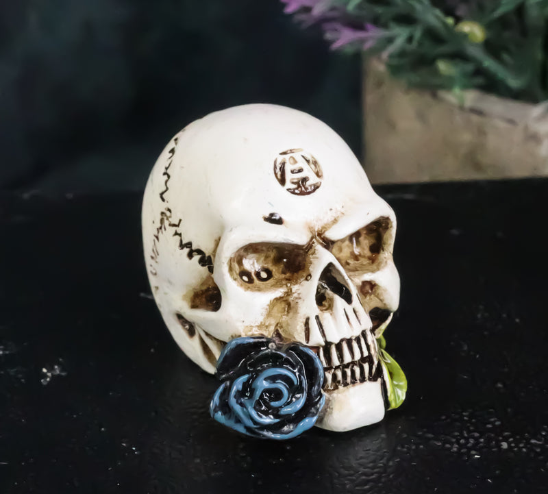 Gothic Tango Vampire Skull Biting Black Rose Stalk Mini Dark Alchemy Figurine