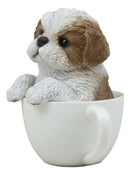 Realistic Adorable Shih Tzu Dog in Teacup Statue 5.75" Tall Pet Pal Decor Dogs