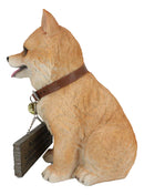 Adorable Pet Pal Pomeranian Puppy Dog With Jingle Collar And Plank Sign Statue