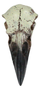 Gothic Reliquary Raven Crow Skull Small Pendant Sacred Talisman Macabre Figurine