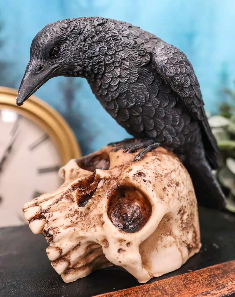 Foreboding Dark Crow Raven On Skull Statue 5"Tall Ossuary Scavenger Raven Bird