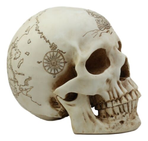 Ebros Pirate Captain Jack Sparrow Cartography Lost Treasure Map Skull Statue Relic