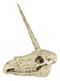 Ebros Fossil Unicorn Skull Rare Mythical Phantom Creature Skeleton Figurine
