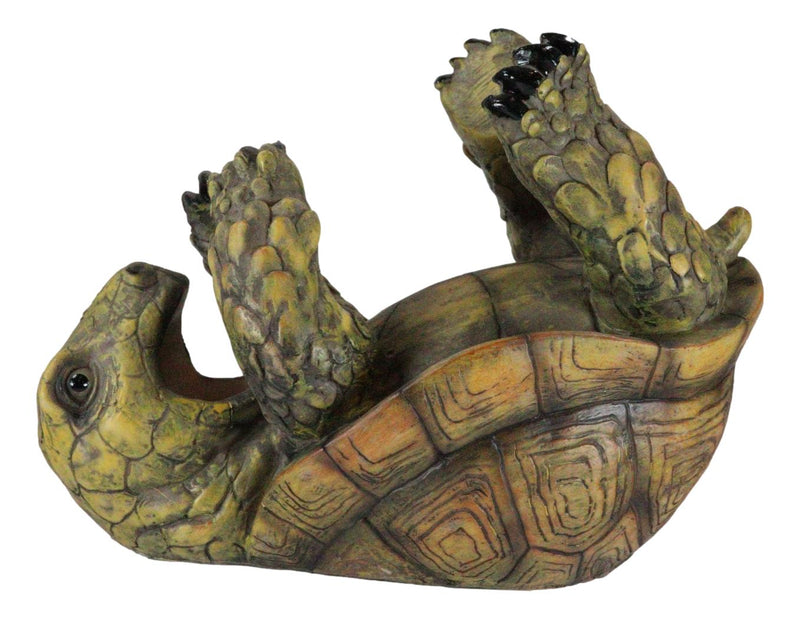 Ebros Gift Tipsy Reptile Turtle Tortoise Wine Bottle Holder Caddy Figurine