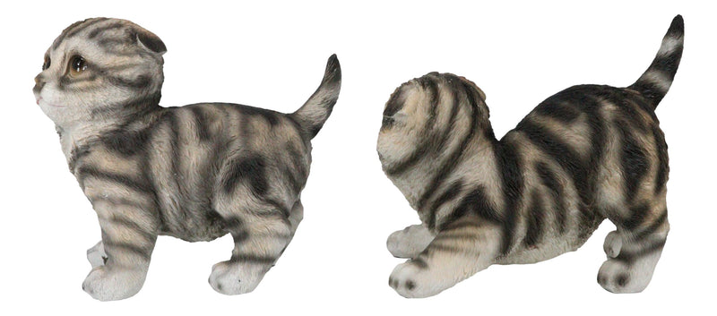 Pack of 2 Lifelike Adorable Playful Feline Gray Tabby Cats Kittens Figurines