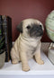 Ebros Lifelike Sitting Pug Dog Statue 6" Tall Pet Pal Figurine with Glass Eyes